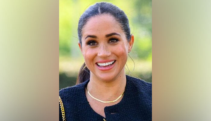 Meghan Markle has reportedly been pondering over a career in politics