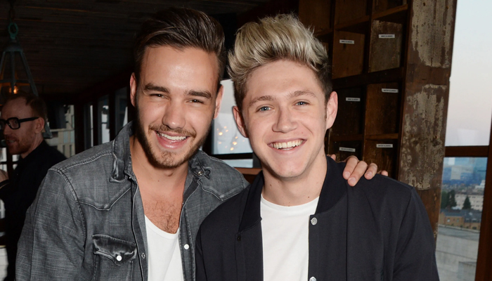 Liam Payne pays a visit to former bandmate Niall Horans native country