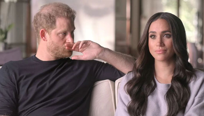 Prince Harry, Meghan Markle shiny Sussex ship stranded year after Netflix documentary