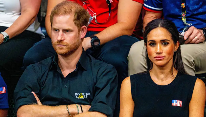 Prince Harry, Meghan Markle to star in dishwashing liquid commercial?