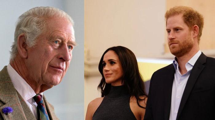 Inside the 'greater truth' of King Charles revoking Prince Harry ...