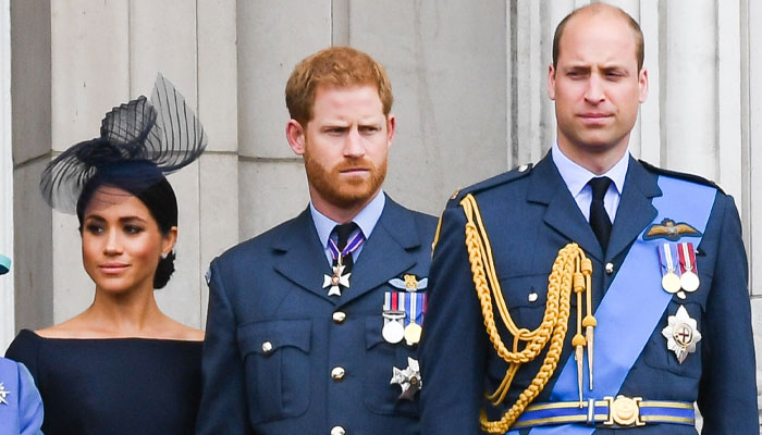 Prince Harry, Prince William have ‘same concerns’ regarding Meghan Markle