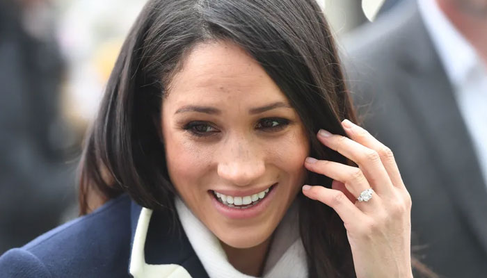 Prince Harry, Prince William have ‘same concerns’ regarding Meghan Markle