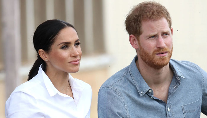 Prince Harry, Meghan Markle hurting their own ‘reputation’ with their antics