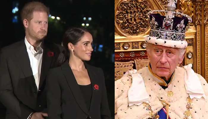 Prince Harry, Meghan Markle display poppies after King Charles birthday snub