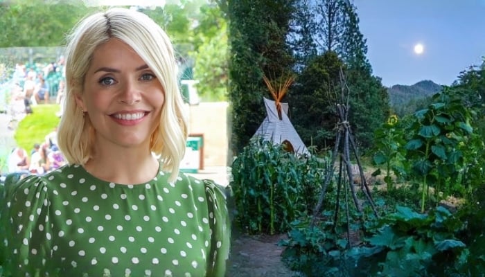 Holly Willoughby turns into environmentalist?