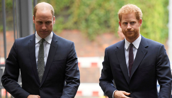 Prince William and Prince Harry have been estranged as their royal rift deepened