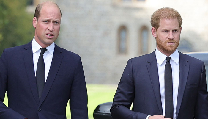 Prince William, Prince Harry unpredictable relationship reaches dead end