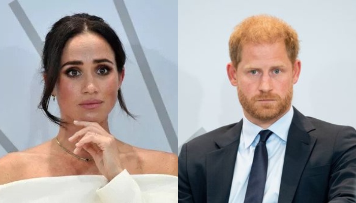 Prince Harry, Meghan Markle finding employment since royal departure