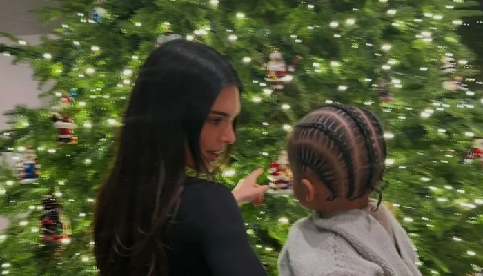 Kendall Jenner shared some of her sisters Christmas decorations on Instagram amid pregnancy rumours