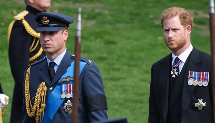 Prince William refused to help grief-stricken Prince Harry after Queens death
