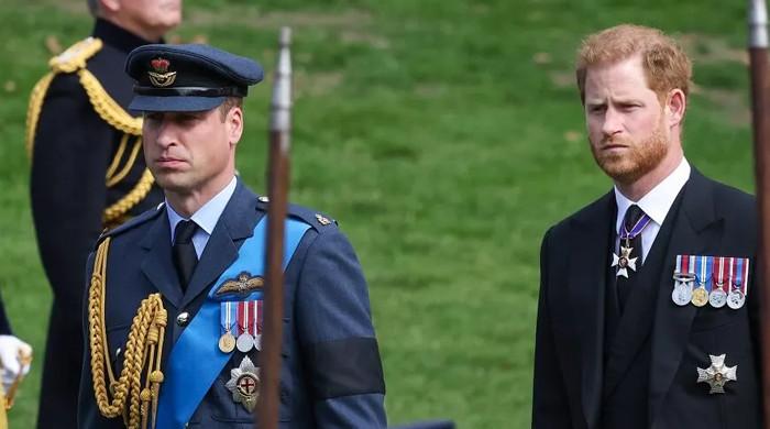 Prince William 'refused to help' grief-stricken Prince Harry after ...