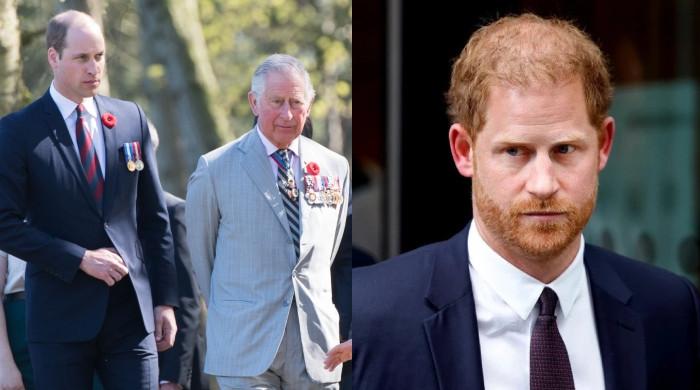 Prince Harry Urged To Issue 'public Apology' To Family Amid Race Row