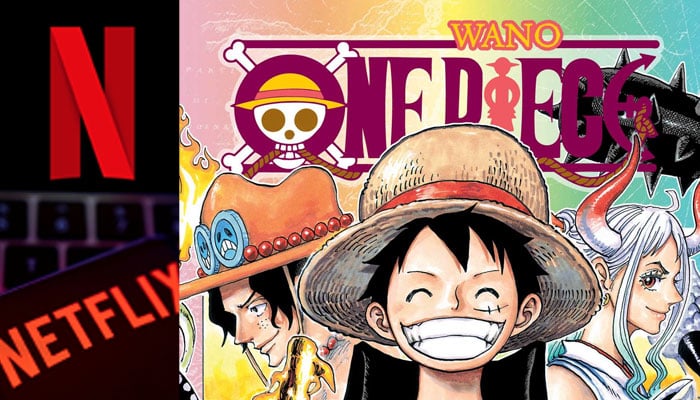 Reboot for the One Piece anime? : r/OnePiece