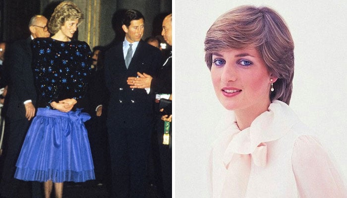 Princess Diana’s fashion statement makes a major record