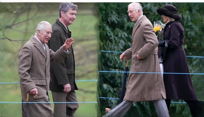 The monarch looked in festive spirits as he offered well-wishers