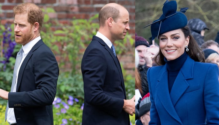 Kate Middleton to play 'mediator' between Prince Harry, Prince William