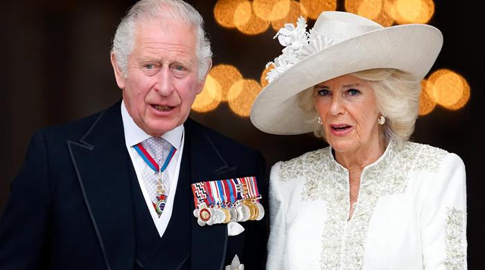 'Polar opposites' King Charles, Queen Camilla 'have been through a lot'