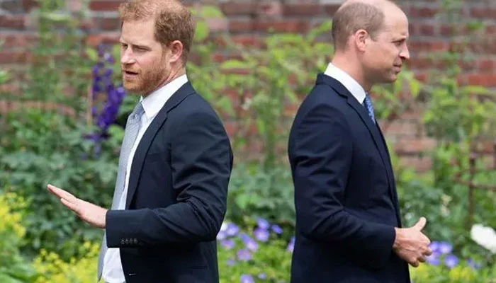 Prince William finds new brother amid Prince Harry feud