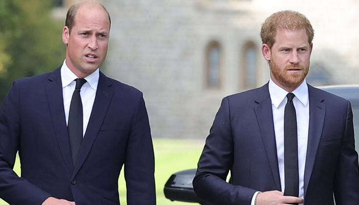 Prince Harry’s ‘nasty’ title for Prince William cost hopes of reunion