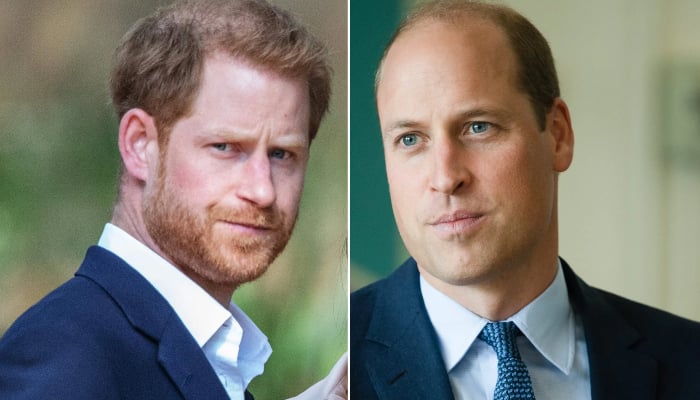 Prince Harry ‘missing’ Prince William after calling brother ‘villian ...