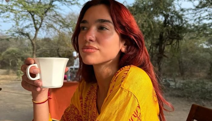 Dua Lipa reminisces unforgettable family trip to India ahead of 2024