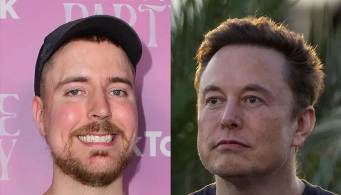 Elon musk and MrBeast or Jimmy Donaldson. — X/@getty
