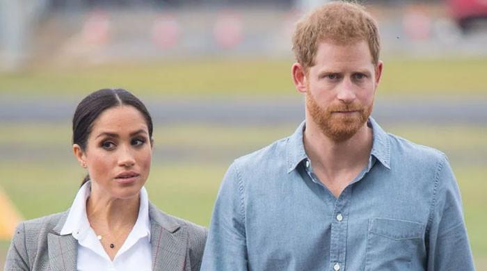 Prince Harry, Meghan Markle forced to ‘prove their worth’ with notable projects