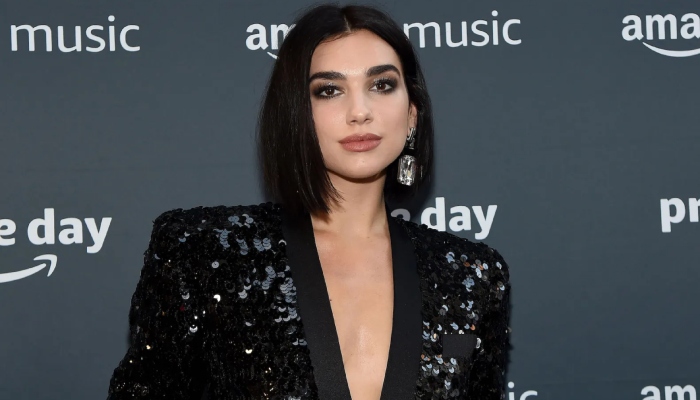 Dua Lipa rings in 2024 with crazy string of selfies