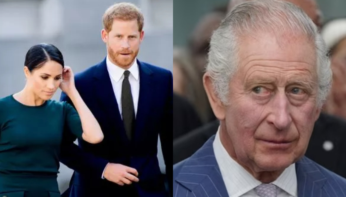 Prince Harry, Meghan Markle’s antics widen ‘huge void’ amid royal rift