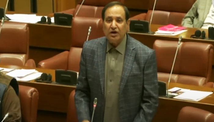 Independent lawmaker Senator Dilawar Khan speaks during the session of the upper house of the parliament in Islamabad, on January 5, 2023, in this still taken from a video. — YouTube/SenateofPakistanOfficial