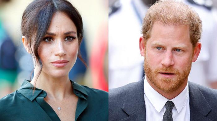 Meghan Markle, Prince Harry’s professional struggles affect their relationship