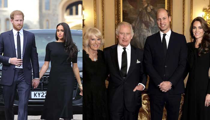 Prince Harry, Meghan Markle posing a threat to royal family as cash runs out