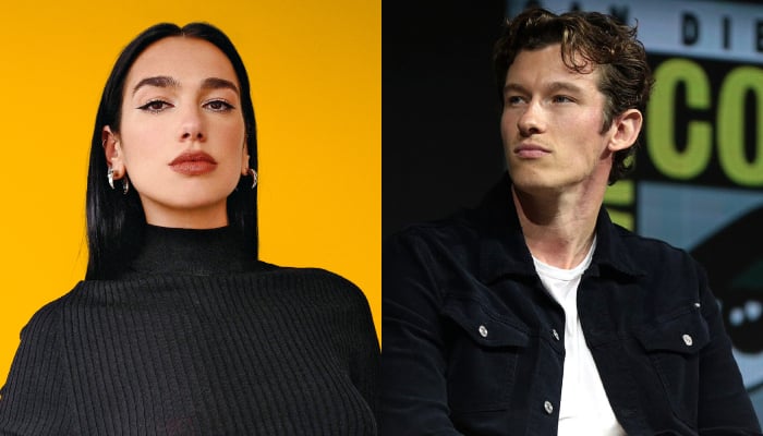 Dua Lipa and British actor Callum Turner spark dating rumours