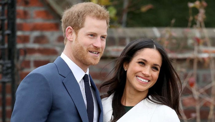 Meghan Markle, Prince Harry welcome a new addition to family