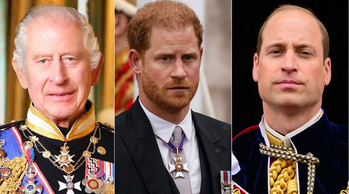 Prince Harry tipped to step in for King Charles, Prince William: Report