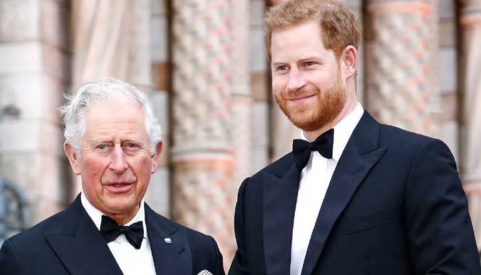 Prince Harry could use Get Well to reach out King Charles