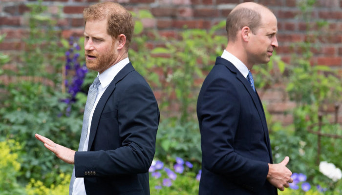 Prince Harry awaits tougher obstacle amid strained relationship with William