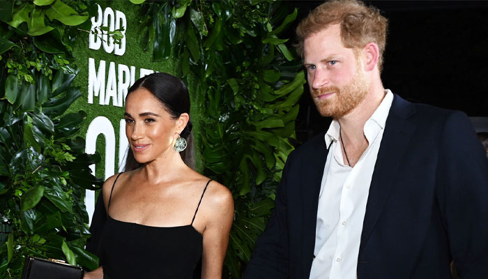 Prince Harry, Meghan Markle Netflix deal hit with fresh blow