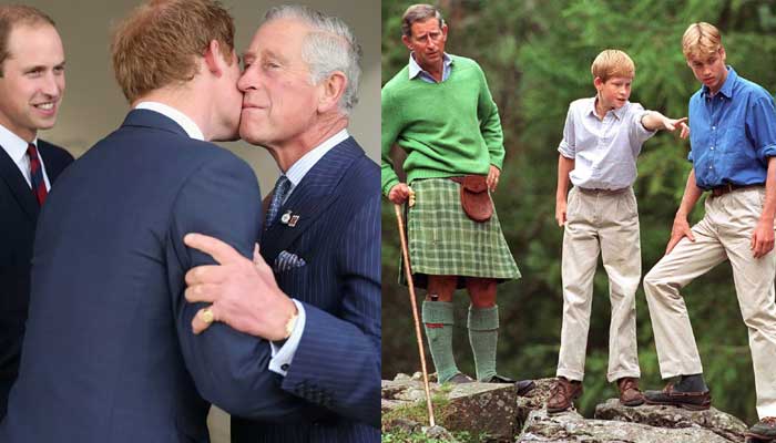 Prince Harrys emotional reunion with King Charles, Prince William excites fans