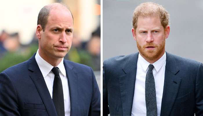 Prince William ‘needs support’ from ‘once close’ brother Prince Harry