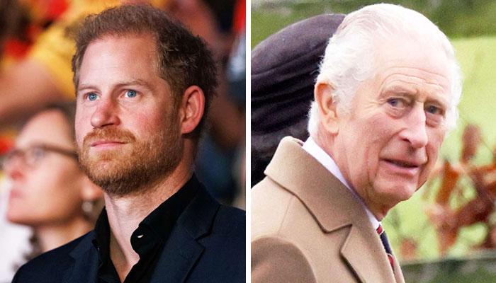 Prince Harry’s royal return ‘not just a decision for King Charles to make’