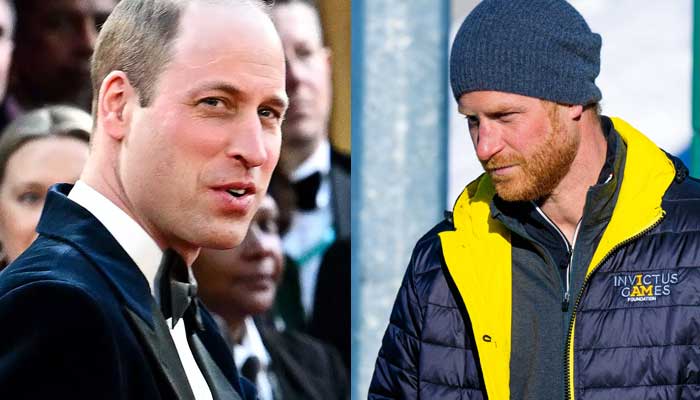 Prince William shuns Harry's 'reunion plea'