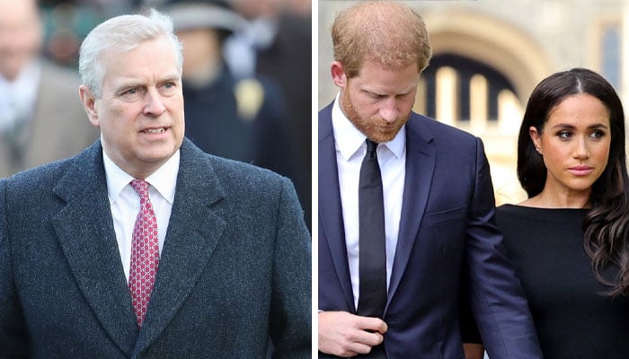 Prince Andrew mocks Prince Harry, Meghan Markle