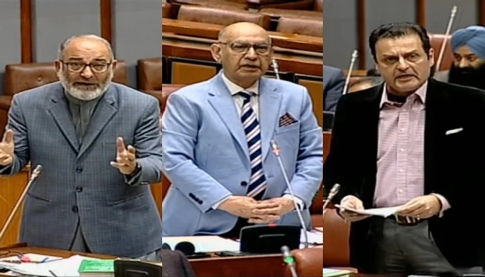 JI Senator Mushtaq Ahmed (L), PML-N Senator Irfan Siddiqui (C) and PTI Senator Walid Iqbal (R) addressing a Senate session in Islamabad on February 20, 2024. —Senate of Pakistan/YouTube/ Screengrab