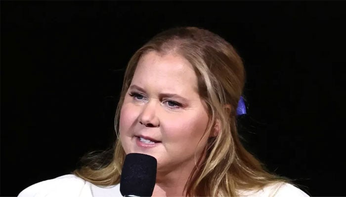 Amy Schumer has been subjected to online speculation about her weight