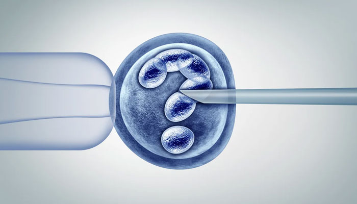 Yumurta ve spermin bir tüpte karıştırıldığı in vitro fertilizasyon (IVF) sürecinin temsili bir görüntüsü.  - çok fazla