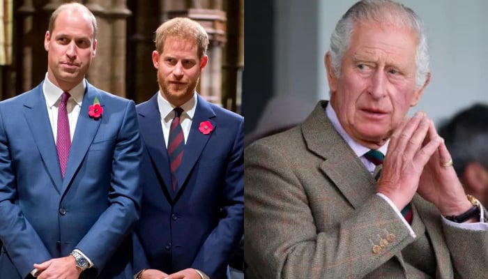 King Charles set to make big decisions about William, Harrys future