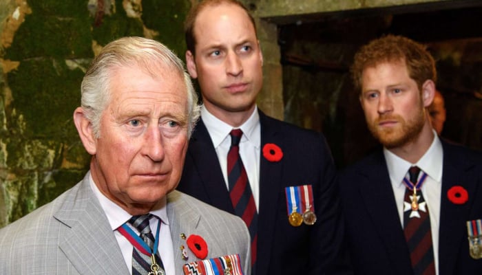 Prince William urged King Charles not to allow Prince Harrys reunion