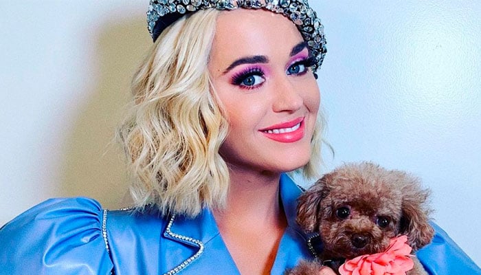Katy Perry shares pet Nuggets before-and-after haircut clicks